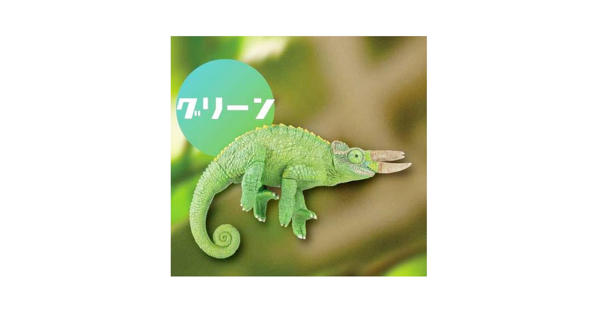 1カートンBOXアニマリエコレクション ジャクソンカメレオン 1